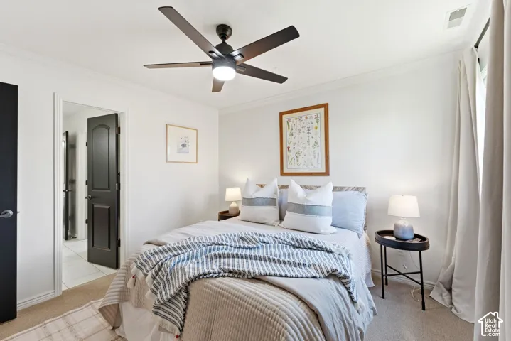 Carpeted room featuring a ceiling fan with integrated lighting, crown molding, and two dark-paneled doors