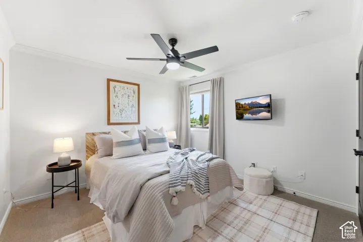 Spacious bedroom featuring crown molding, a ceiling fan, carpeted flooring, and a window with natural light