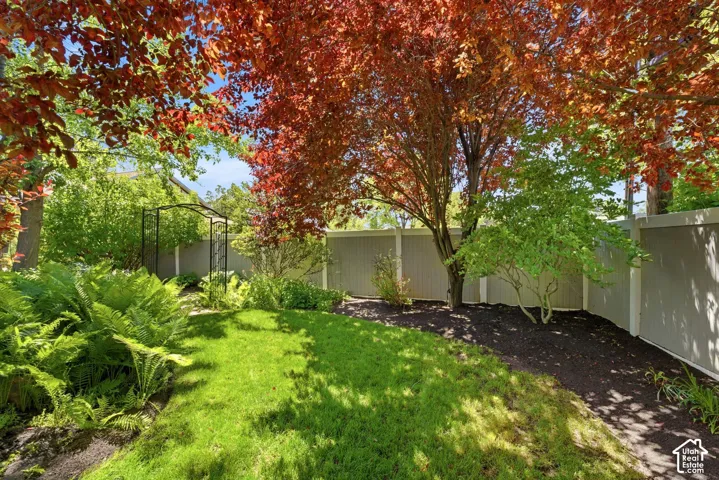 Expansive yard with manicured lawn, mature trees, and a decorative arbor