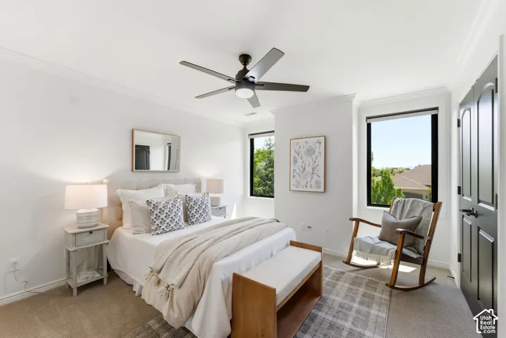 Bedroom with crown molding, a ceiling fan fixture, and dual windows