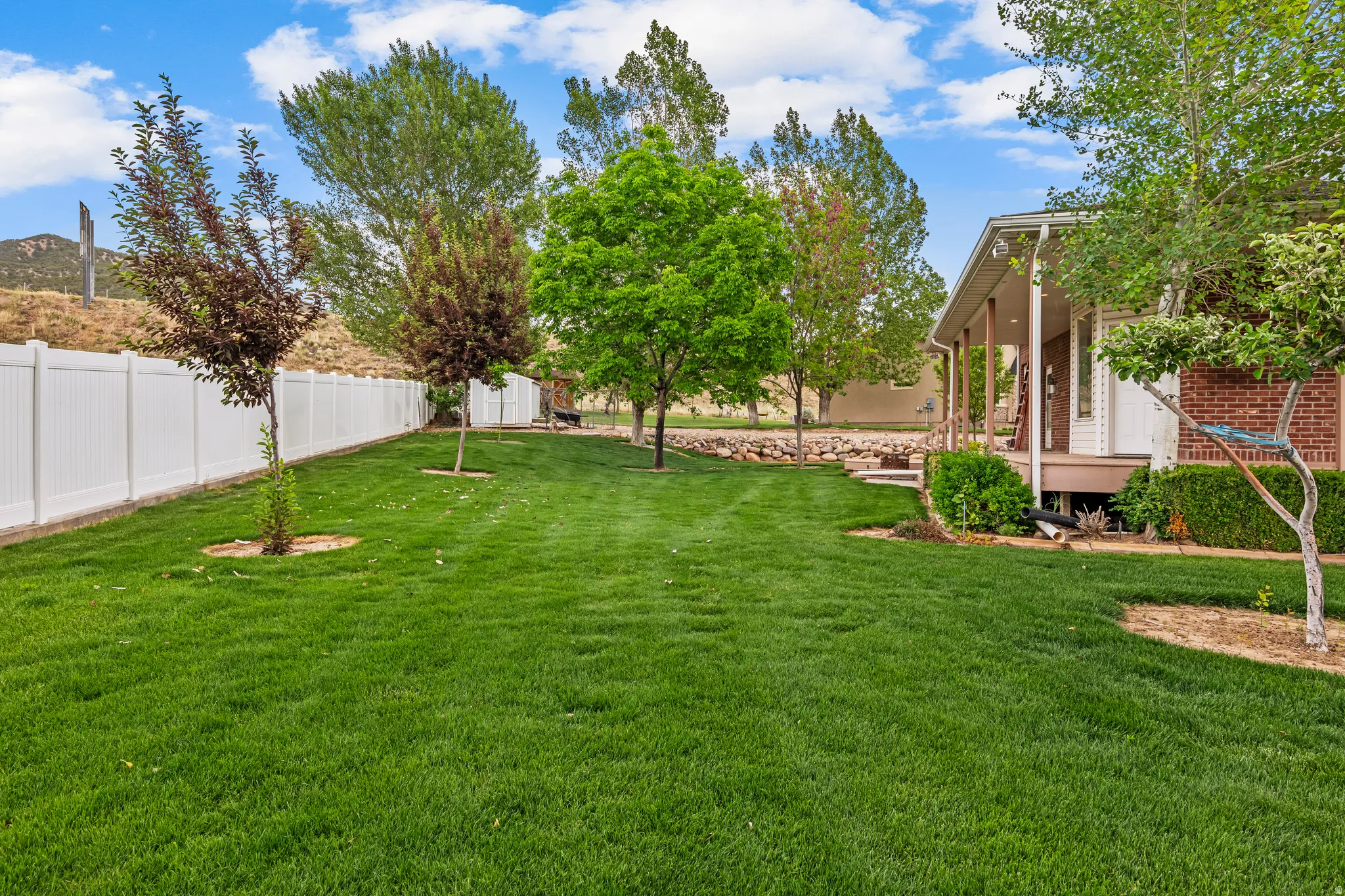 Expansive green lawn framed by a white privacy fence and mature trees
