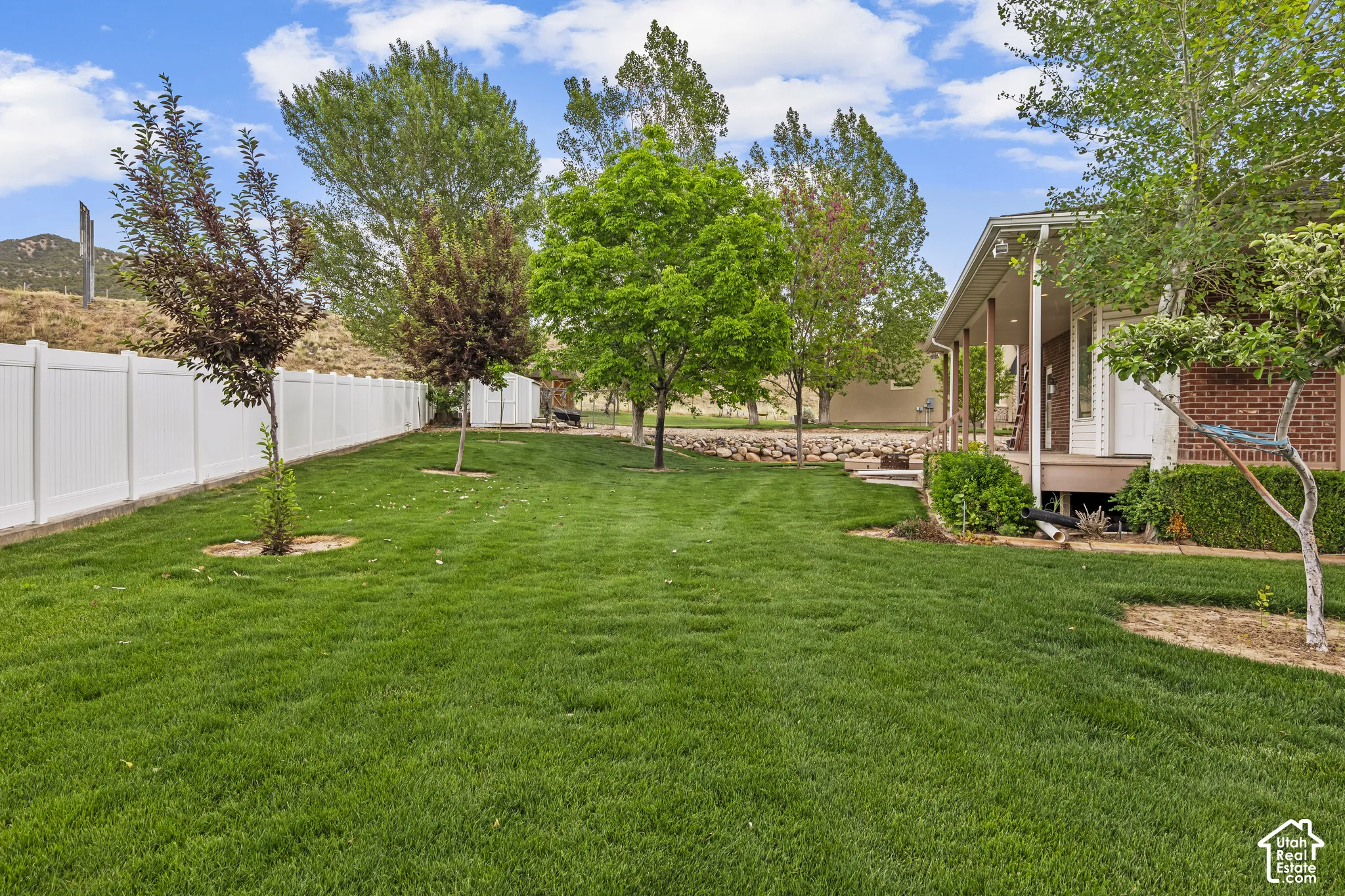 Expansive green lawn framed by a white privacy fence and mature trees