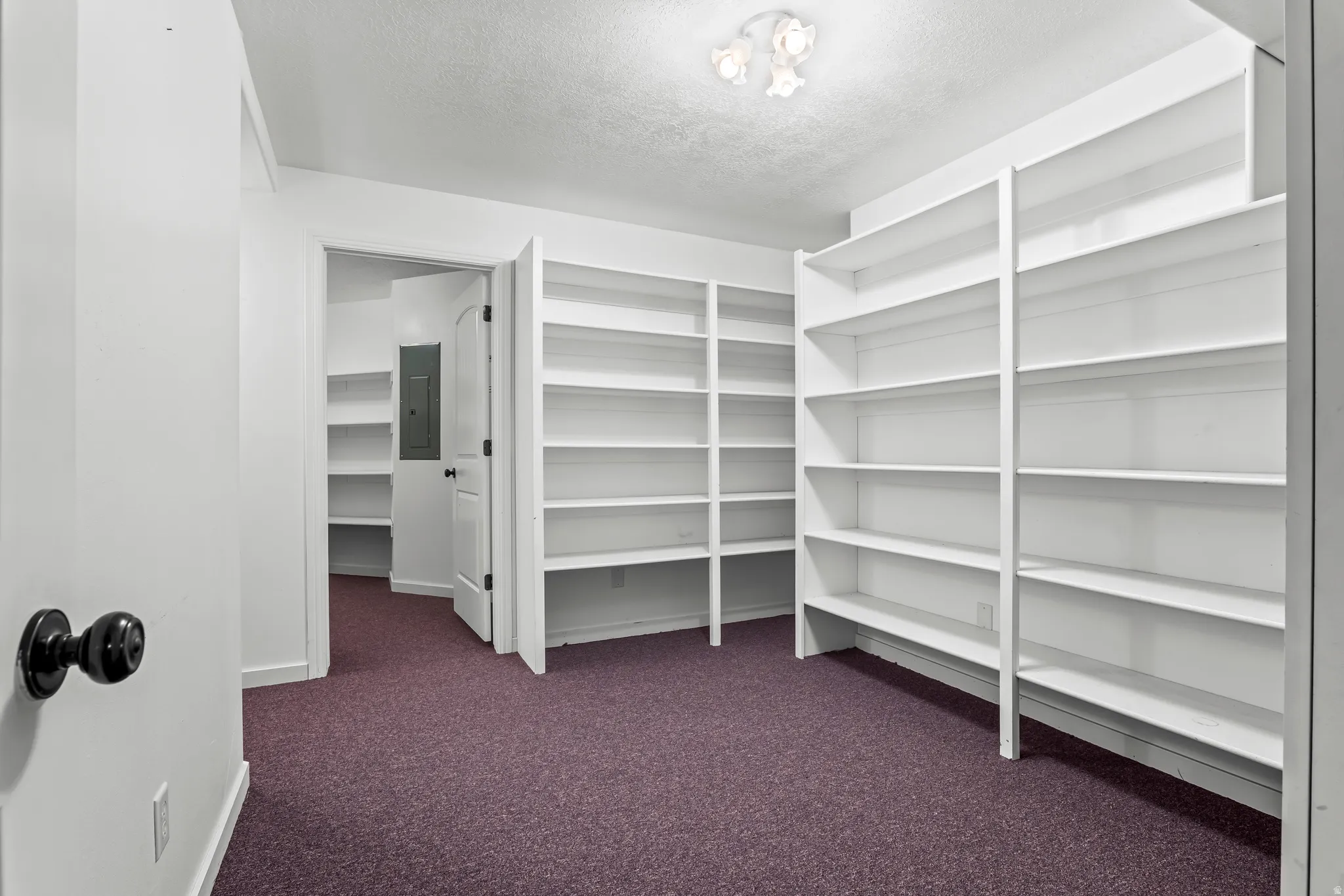 Room featuring extensive built-in shelving, purple carpet flooring, and white walls
