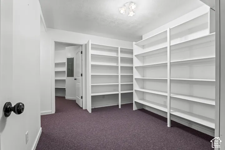 Room featuring extensive built-in shelving, purple carpet flooring, and white walls