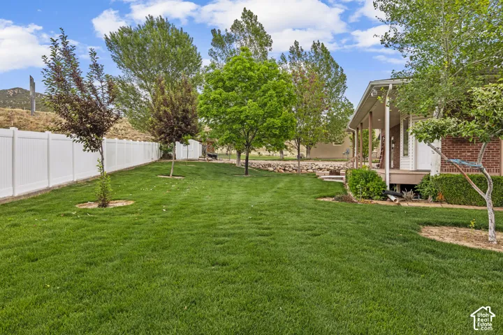 Expansive green lawn framed by a white privacy fence and mature trees