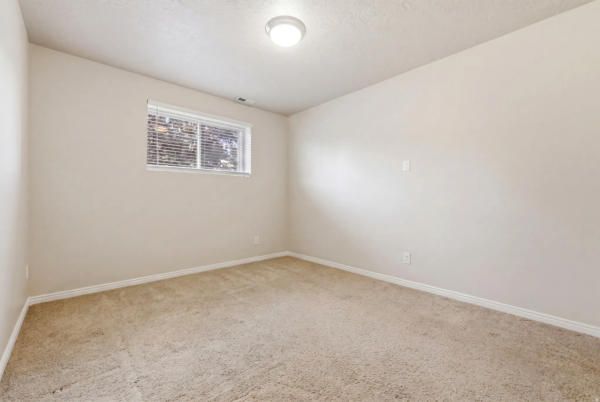 Bonus Room, basement open family room, office, playroom, hobby room. no door