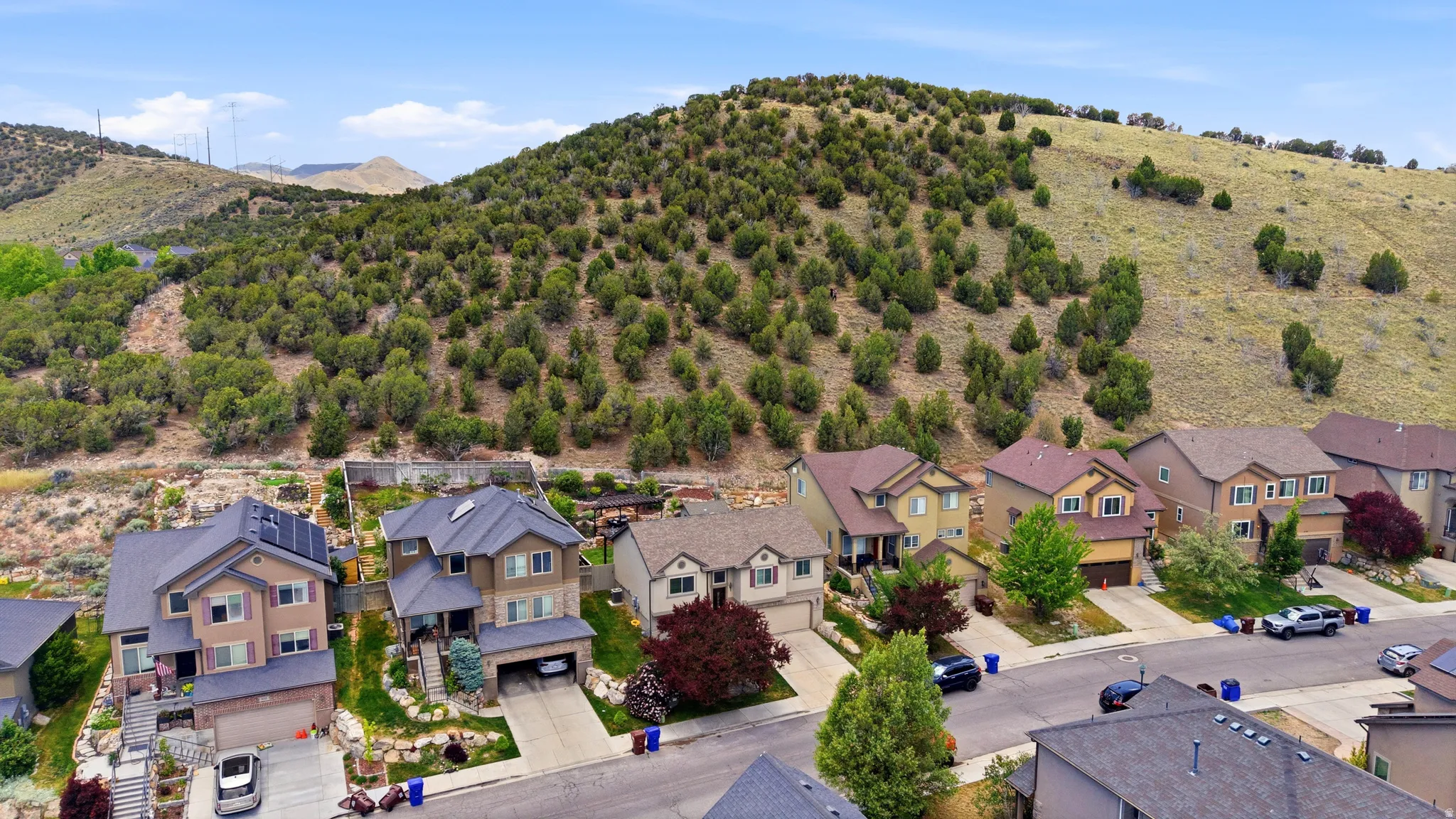 Residential street with multiple homes featuring varied architectural styles and integrated garages, set against a natural hillside with abundant greenery