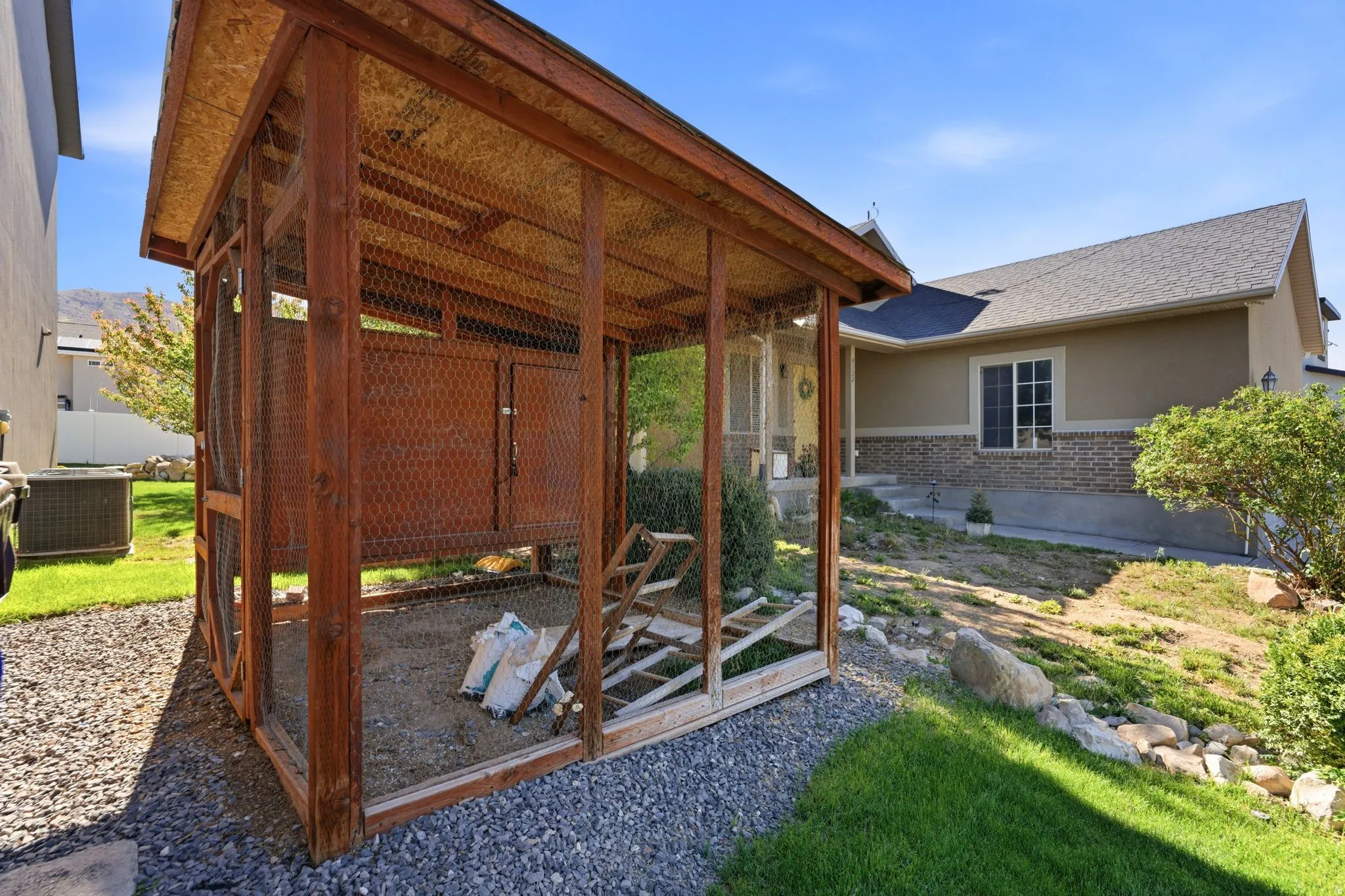 Full chicken shed.