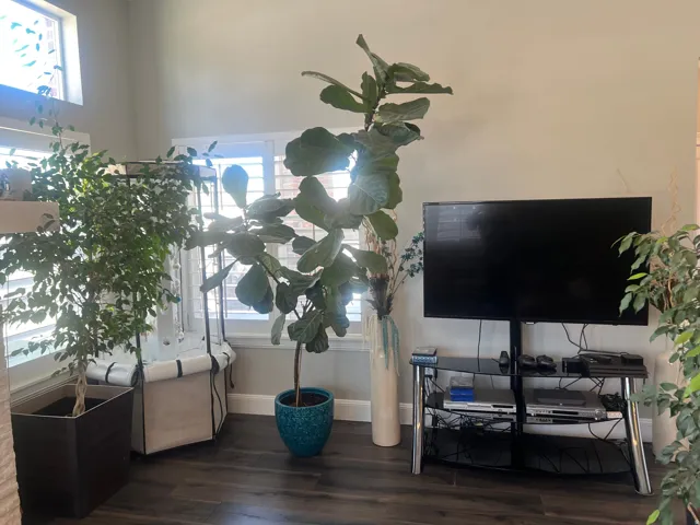 Side of family room