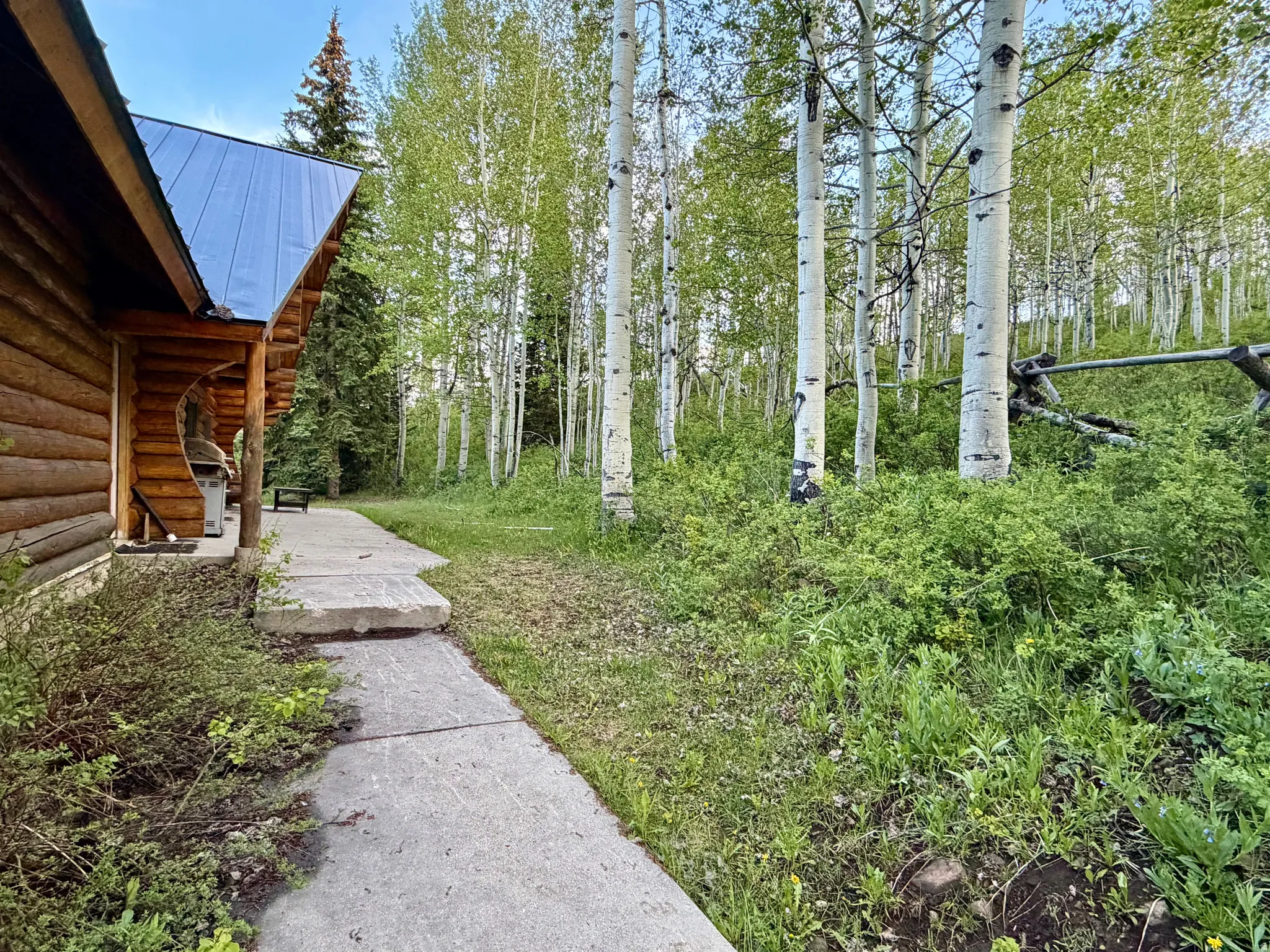 Log cabin exterior featuring a metal roof, exposed log construction, and concrete pathway