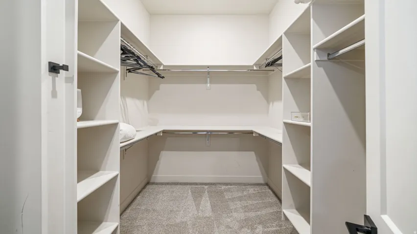 Walk-in closet featuring light gray carpeting, white built-in shelving, multiple hanging rods, and black door hardware