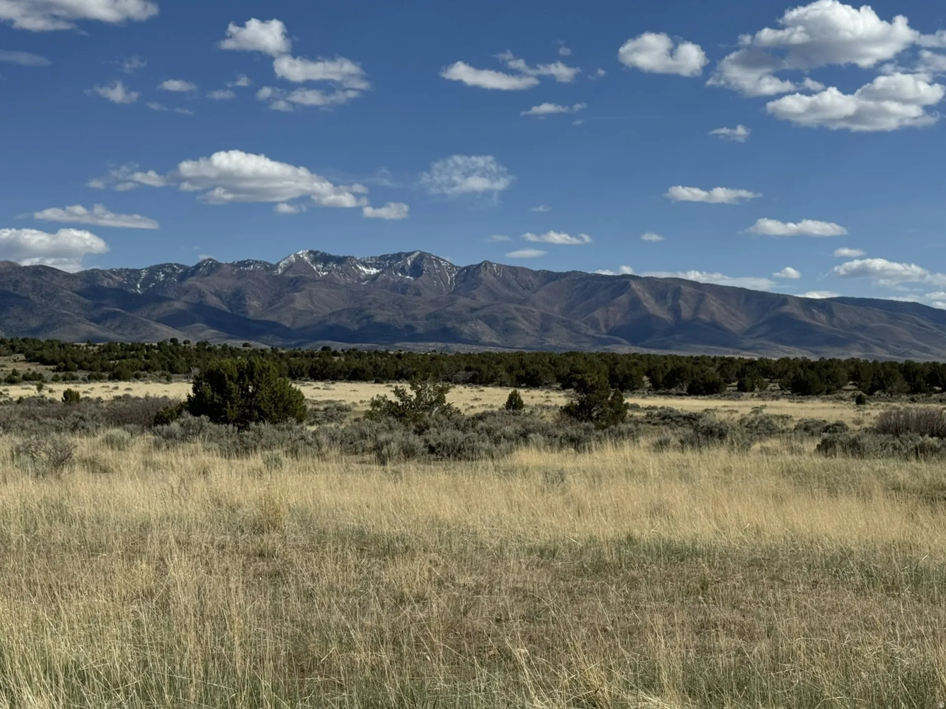Expansive natural landscape featuring a broad mountain range with snow-capped peaks, a clear blue sky with scattered clouds, and a foreground of golden grasses and native shrubs