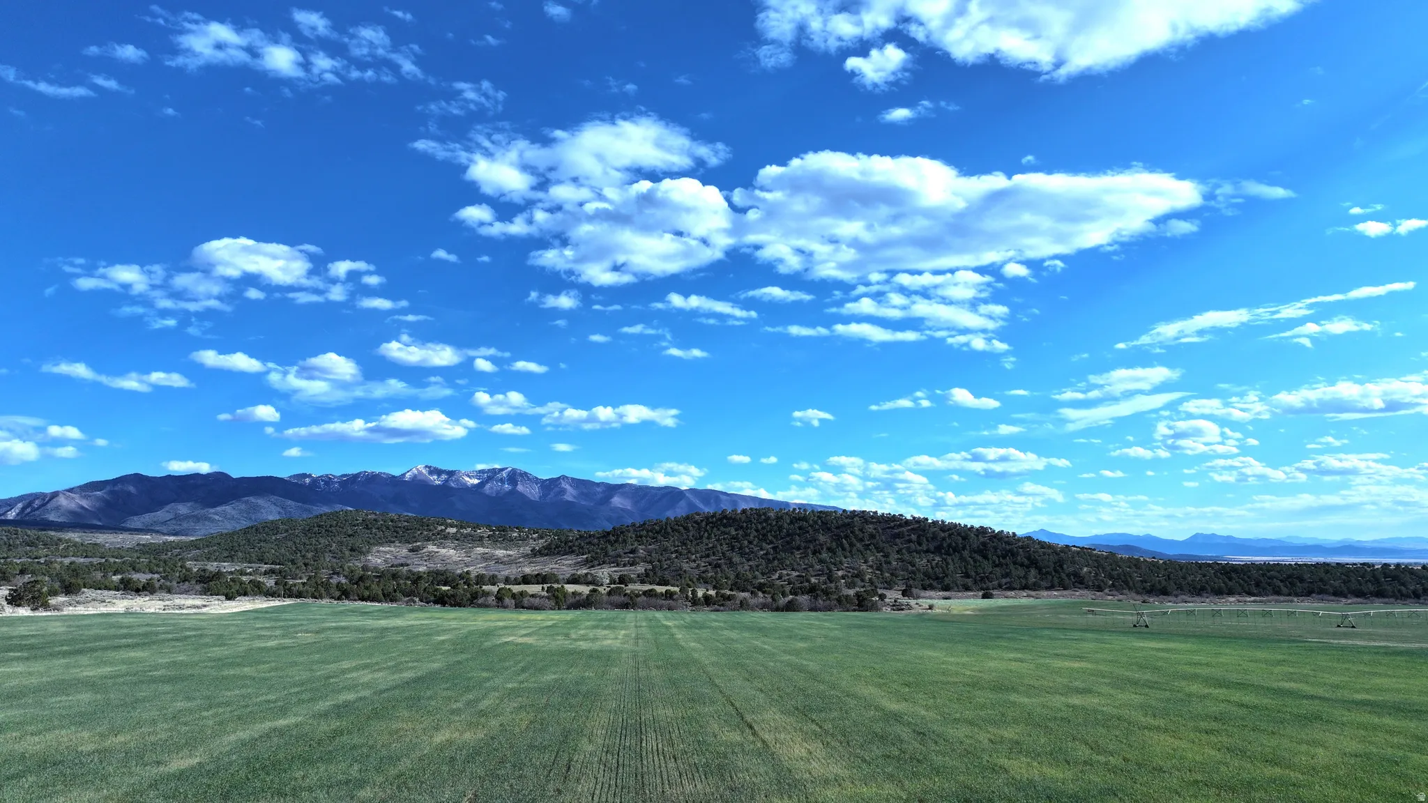 Expansive green field under a broad blue sky, bordered by rolling, tree-covered hills and distant snow-capped mountains