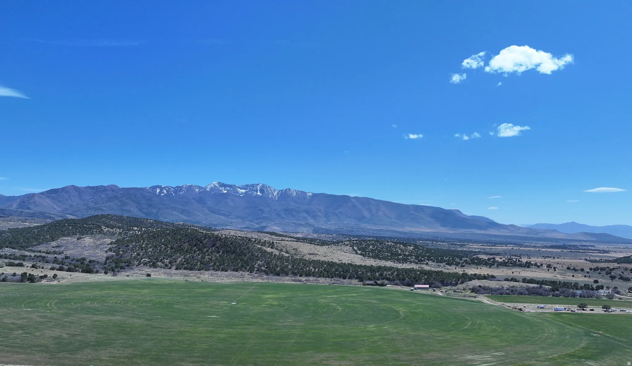 Expansive green fields with distant mountain ranges and scattered evergreen trees