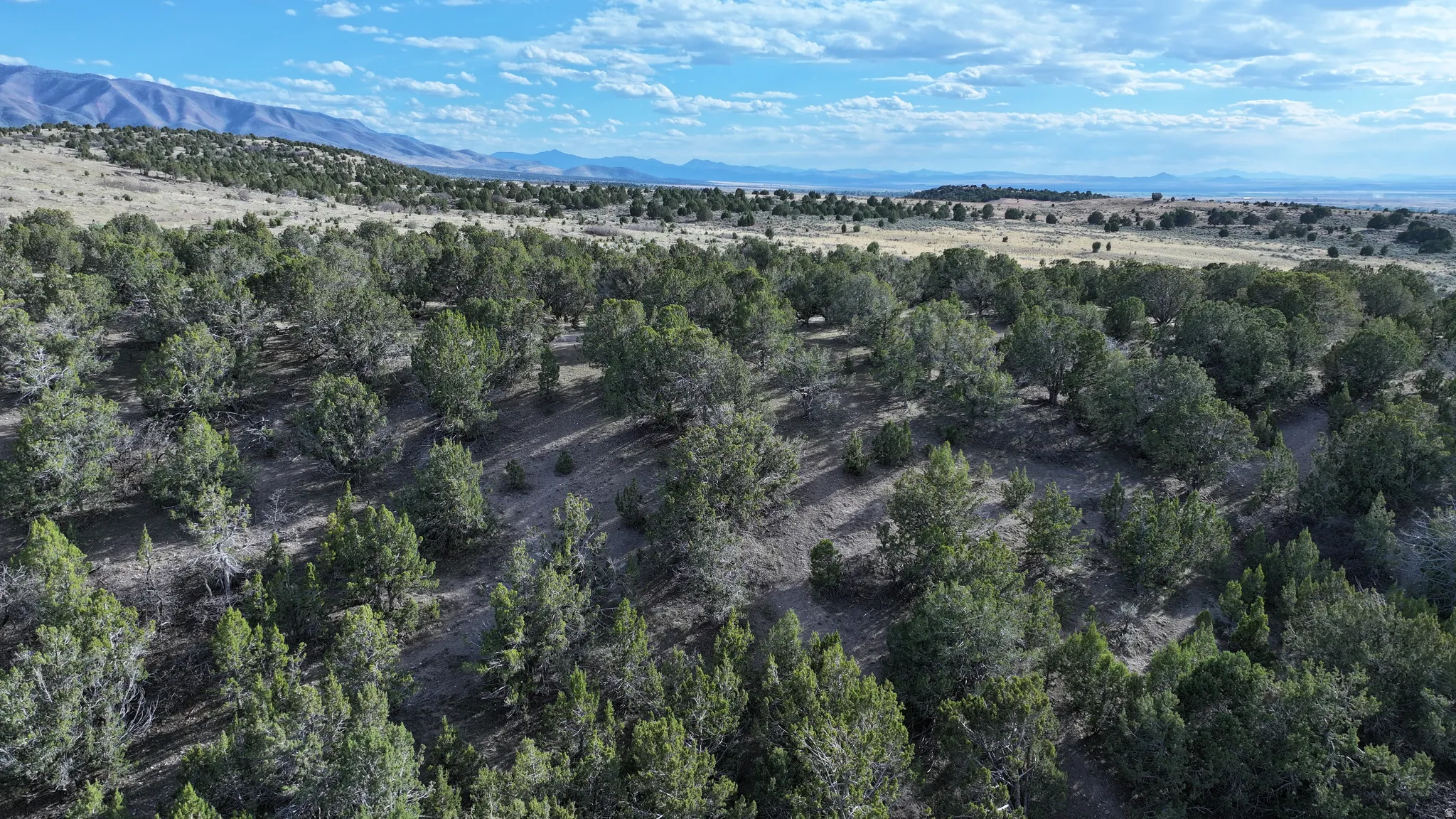Expansive acreage featuring abundant evergreen trees, varied terrain, and distant mountain ranges under a partly cloudy sky