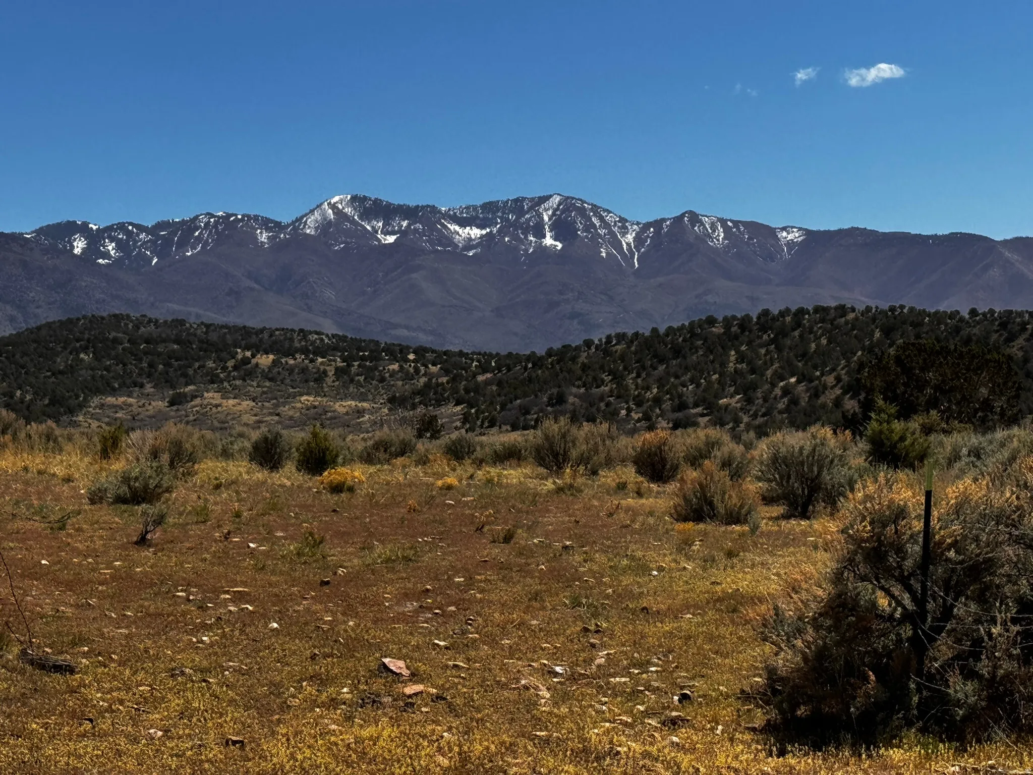 Expansive terrain featuring natural shrubbery and distant snow-capped mountains