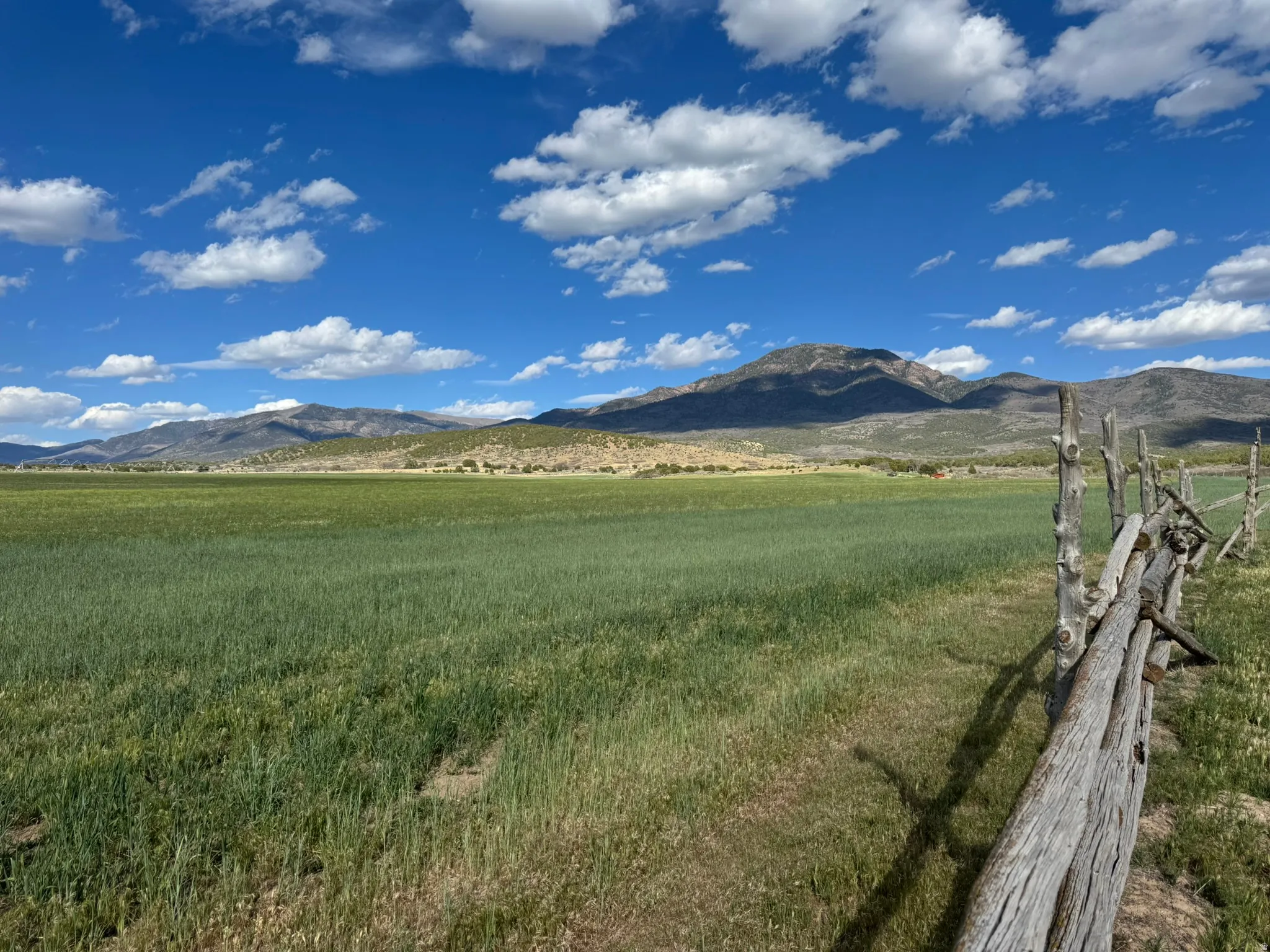 Expansive green field with a rustic wooden fence line and distant mountains under a blue sky with clouds