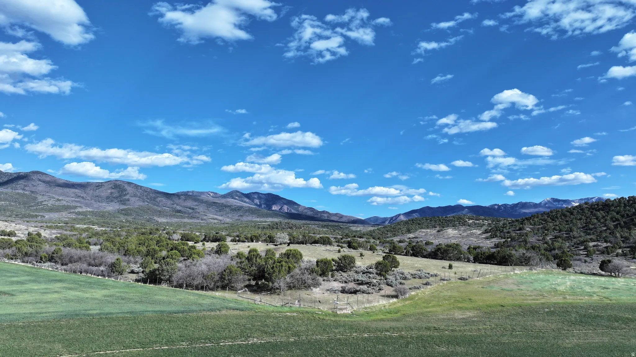 Expansive rural landscape featuring rolling green fields, dense tree cover, and distant mountain ranges under a clear sky
