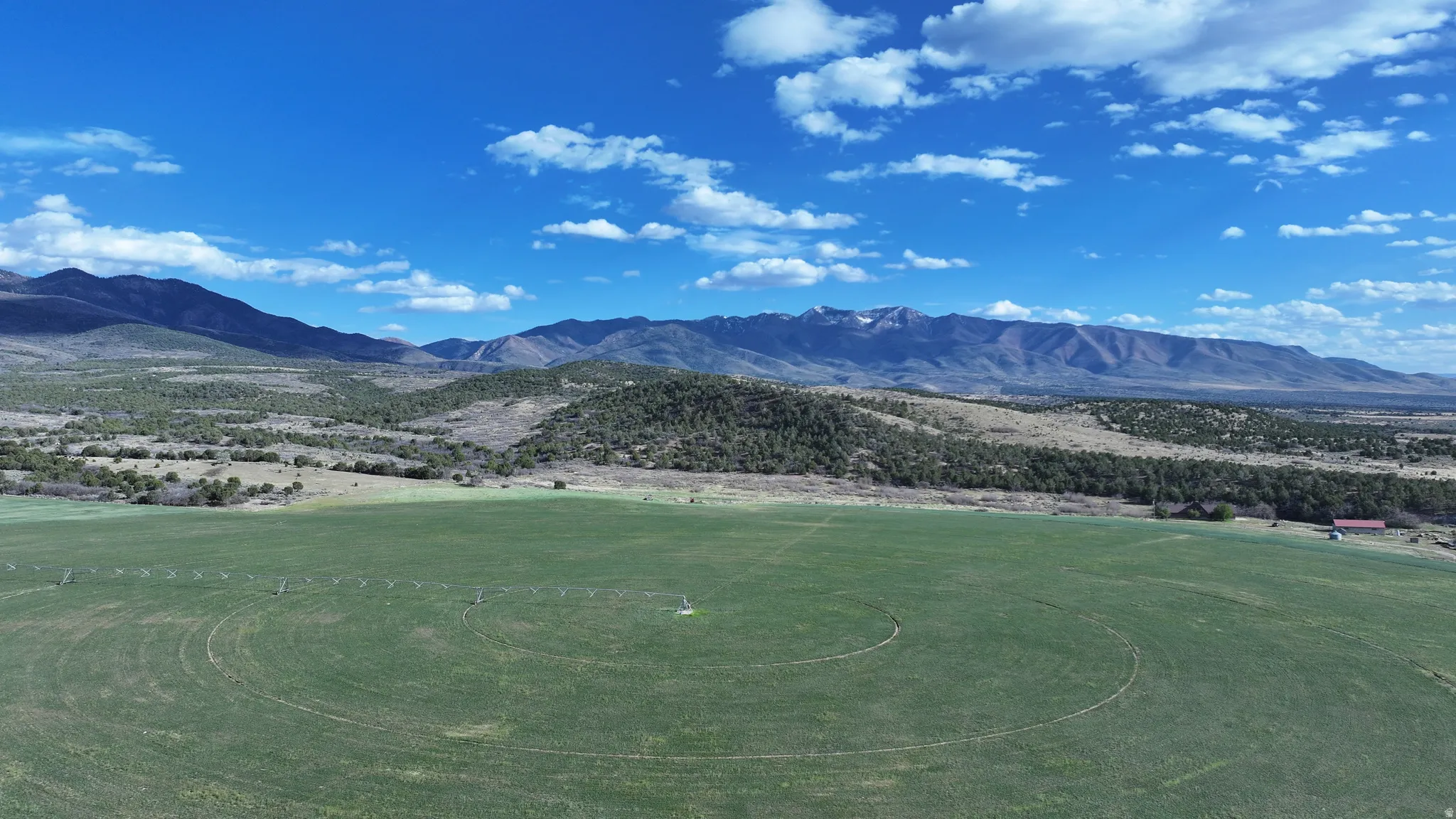 Expansive agricultural field with a center pivot irrigation system under a bright blue sky with scattered clouds