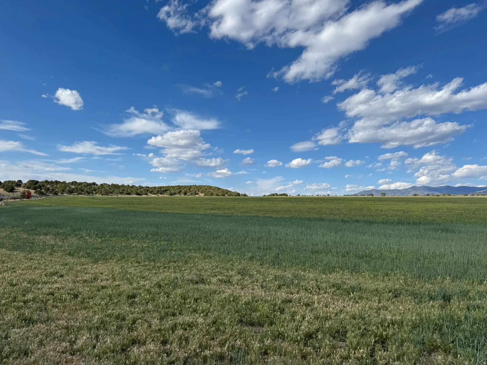 Expansive agricultural land featuring verdant fields with distant tree lines and mountain ranges