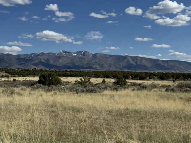 Expansive natural landscape featuring a broad mountain range with snow-capped peaks, a clear blue sky with scattered clouds, and a foreground of golden grasses and native shrubs