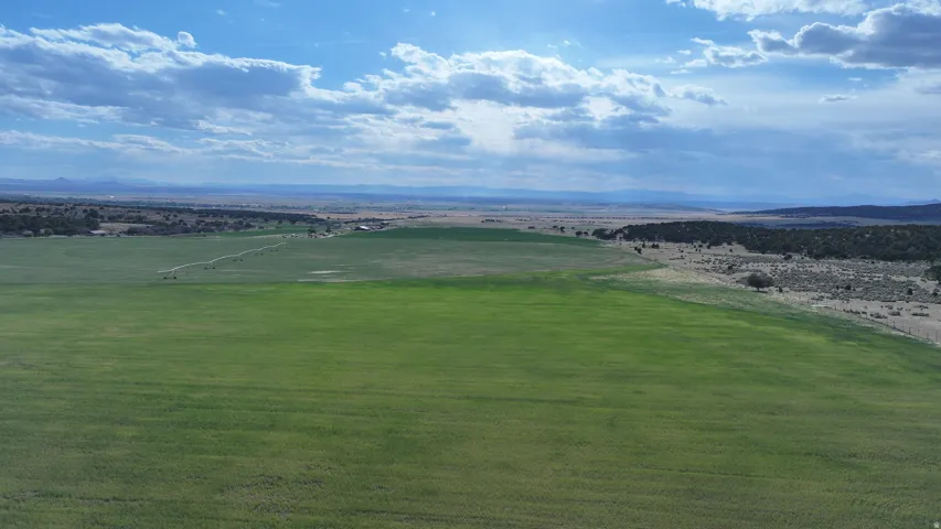 Expansive agricultural property featuring a large, irrigated field, a natural landscape area with scattered trees, and distant structures
