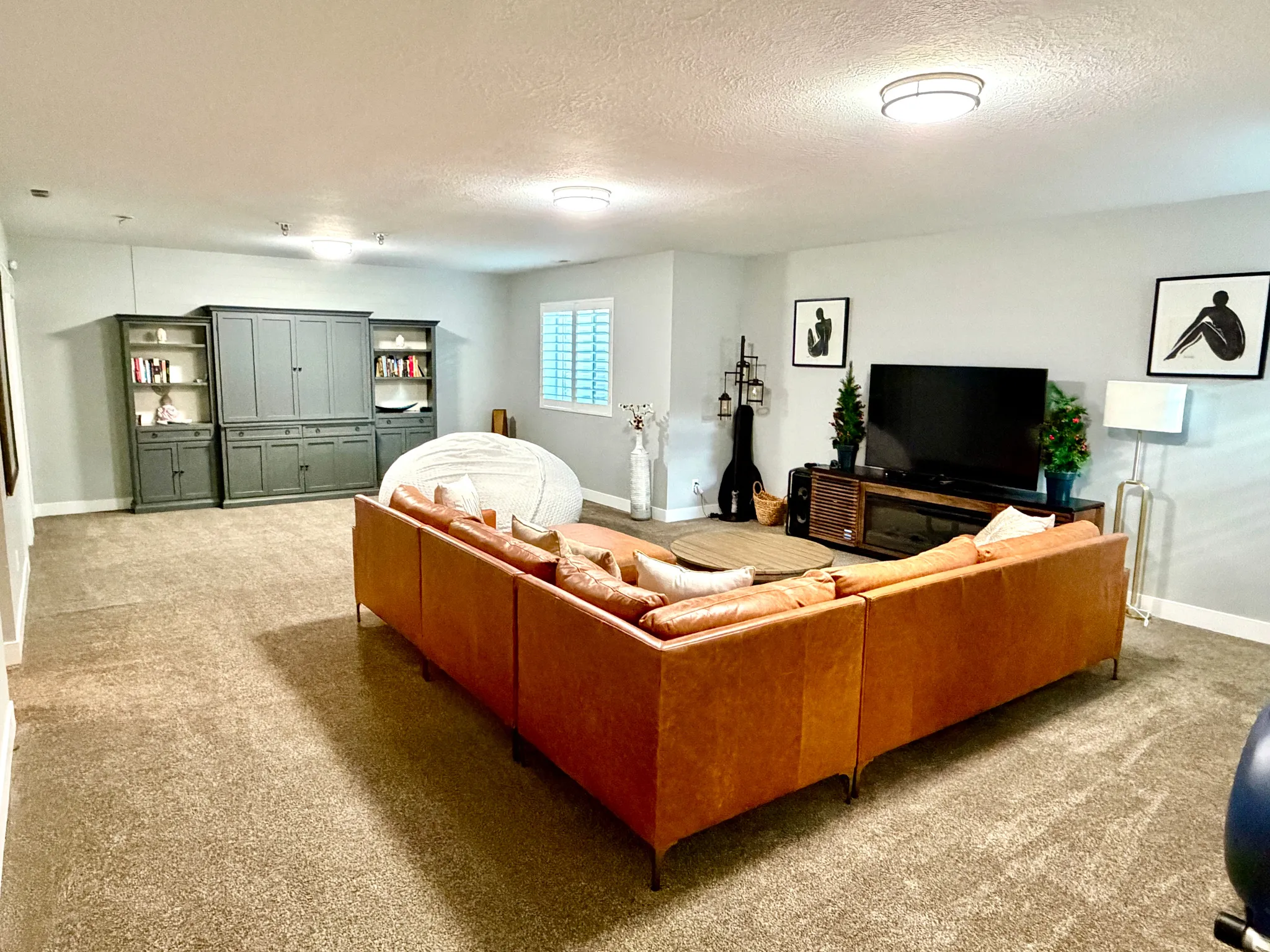 Downstairs Family Room