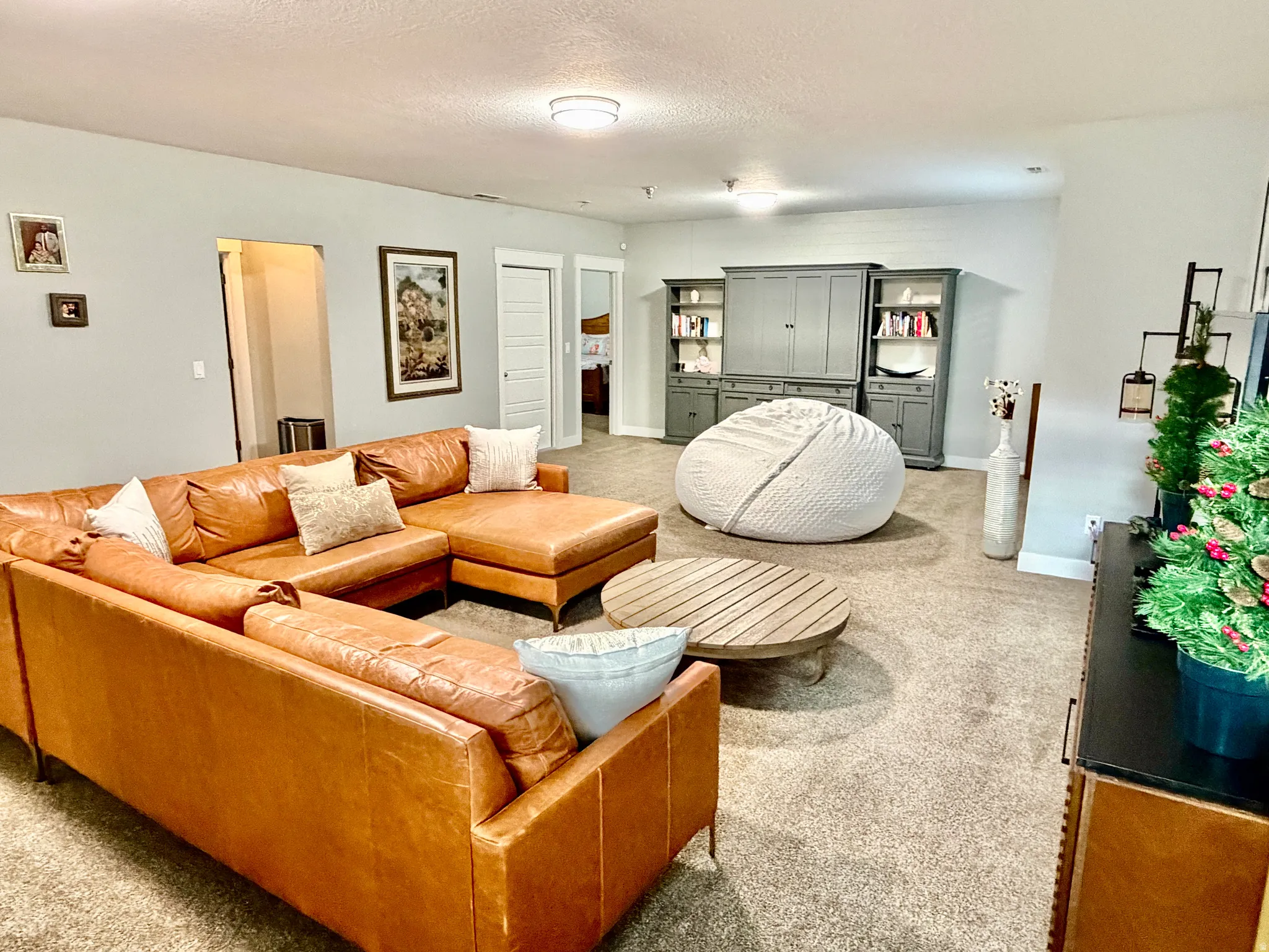 Downstairs Family Room