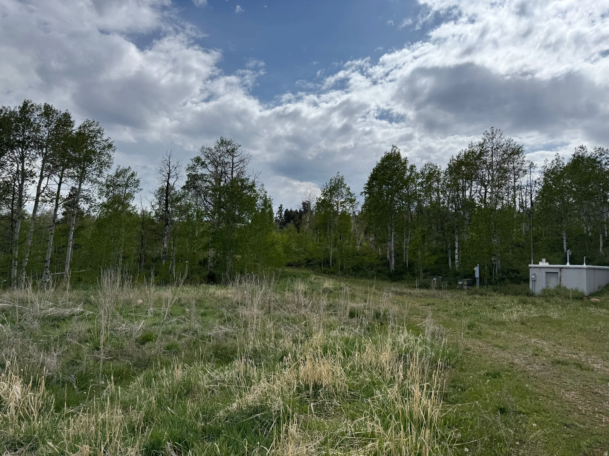 Expansive natural landscape featuring a mix of mature deciduous and evergreen trees, with scattered infrastructure elements