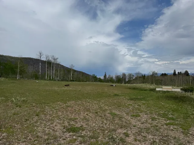 Expansive natural landscape featuring a broad grassy clearing, a treeline of deciduous and evergreen trees, a distant mountainous terrain, and an open sky