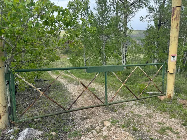 Gated entry with a gravel path, framed by mature trees and lush greenery