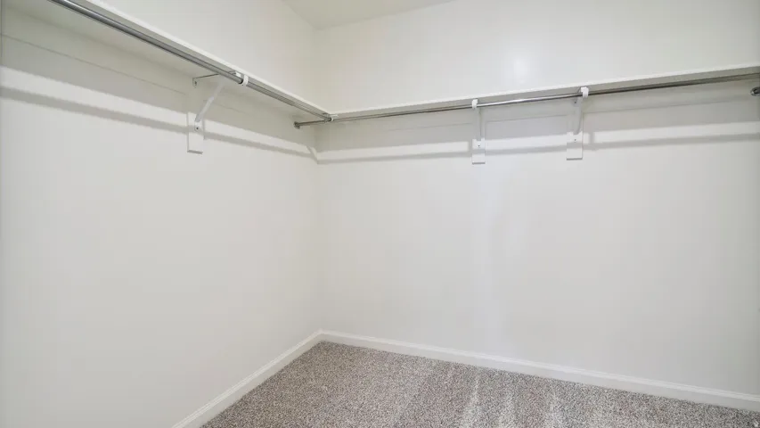 Spacious closet featuring light-toned walls, two levels of metal hanging rods, integrated shelving, and neutral carpeting