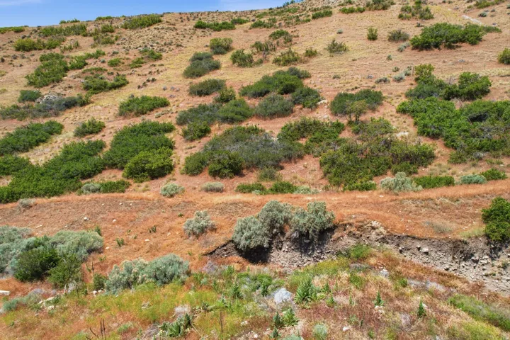 Expansive hillside terrain featuring varied natural vegetation, including green shrubs and scattered grasses