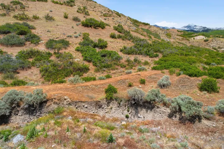 Expansive hillside terrain featuring varied natural vegetation and distant mountain peaks