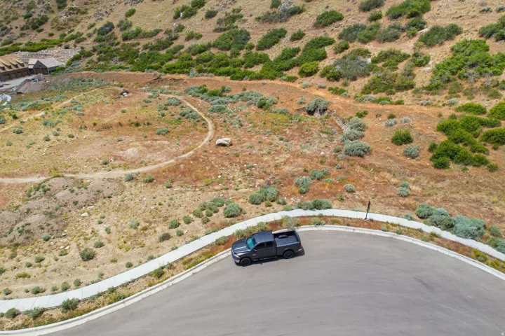 Expansive undeveloped land parcel featuring natural vegetation and a paved street frontage with curb and sidewalk