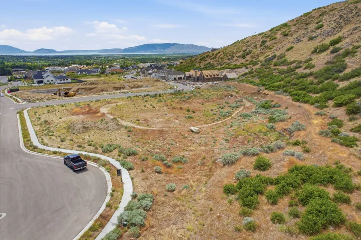 Expansive undeveloped lot featuring natural vegetation, a curved paved road, and a concrete sidewalk