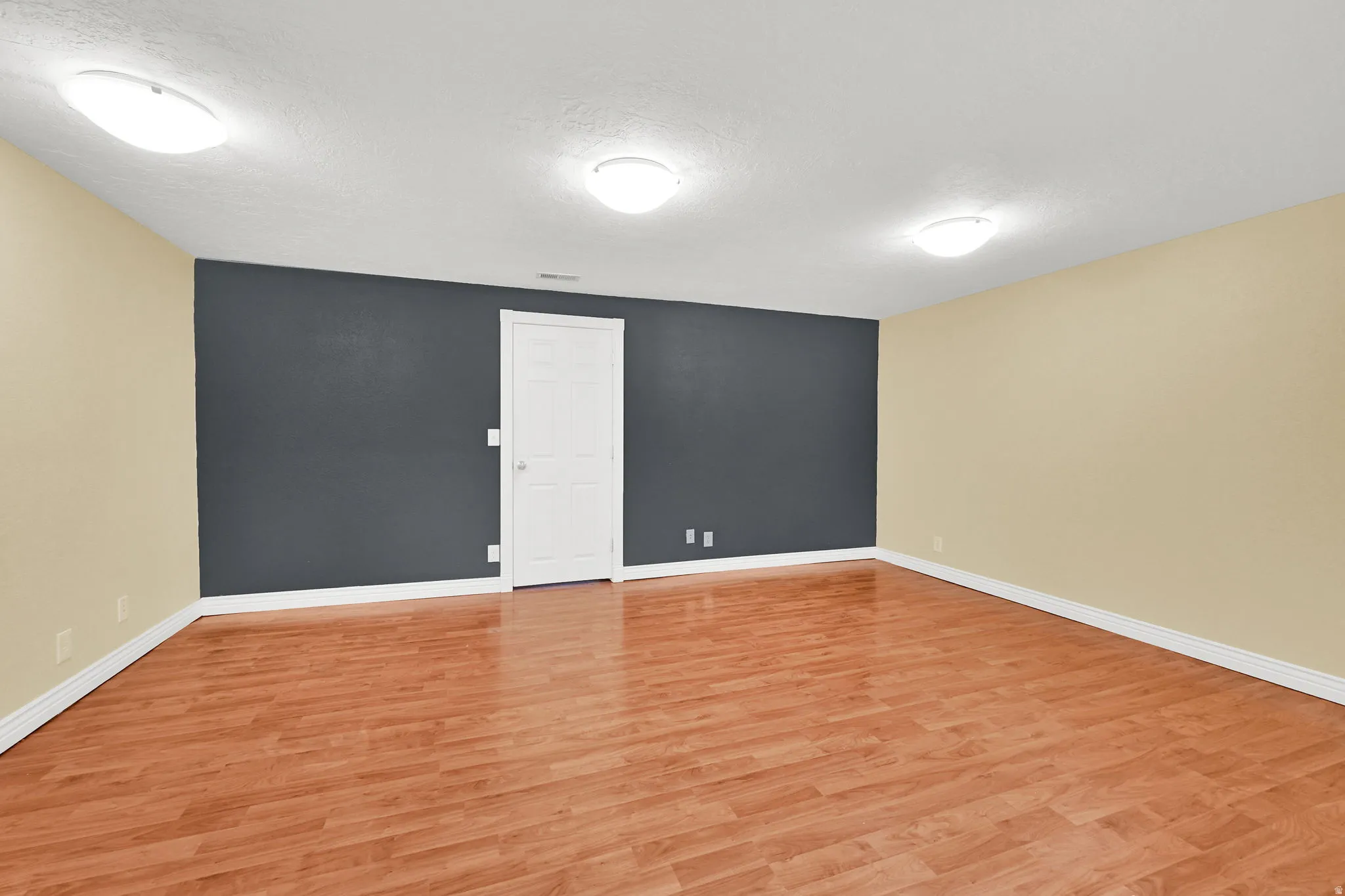 Spacious room featuring wood-finish flooring, a white paneled door, flush-mount ceiling lights, and two-tone walls with a dark accent