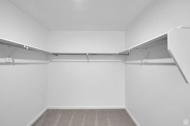 Walk-in closet featuring white walls, white shelving, metal hanging rods, and gray carpet flooring