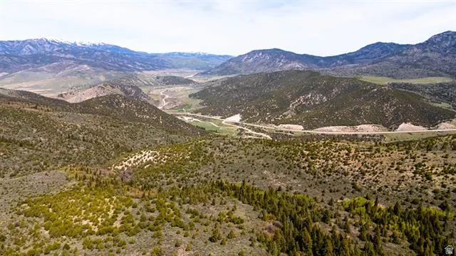 Expansive mountainous terrain featuring diverse natural vegetation, including evergreen and deciduous trees