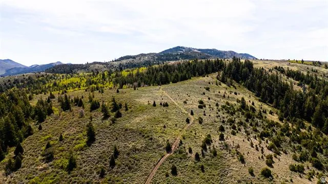 Mountainous landscape with rolling hills and a mix of evergreen and deciduous trees