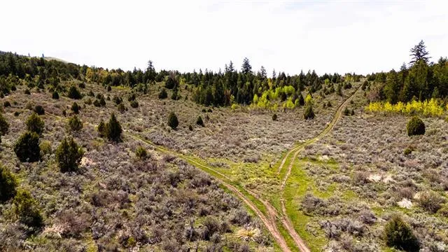 Expansive natural landscape featuring varied terrain, scattered evergreen trees, and a mix of green and sagebrush vegetation