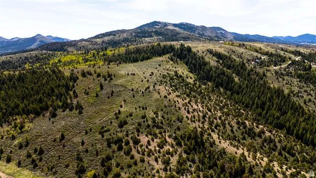 Expansive mountainous terrain featuring diverse evergreen and deciduous tree coverage, varied topography, and multiple elevated building sites