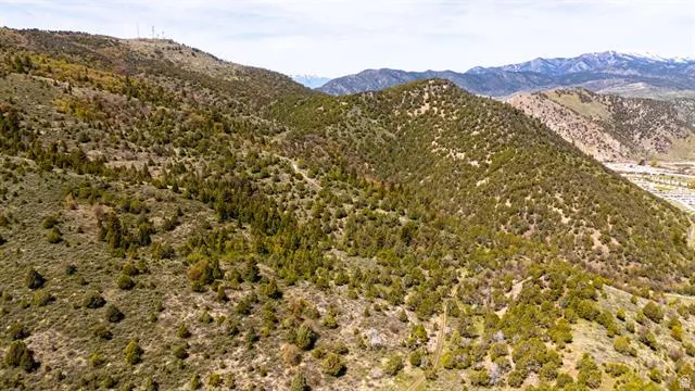 Expansive mountainous terrain featuring diverse evergreen and deciduous foliage