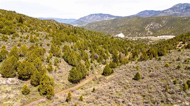 Expansive mountainous terrain featuring a dirt path, verdant conifer trees, and varied shrubbery