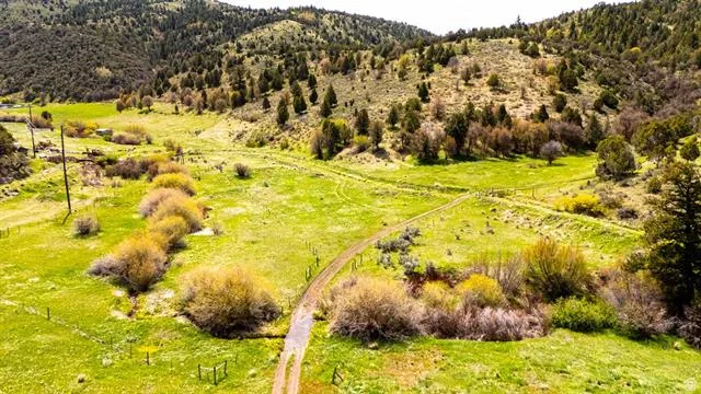 Rolling green hills with scattered trees and a winding dirt path