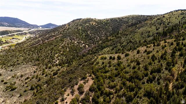 Expansive mountain terrain featuring diverse evergreen vegetation