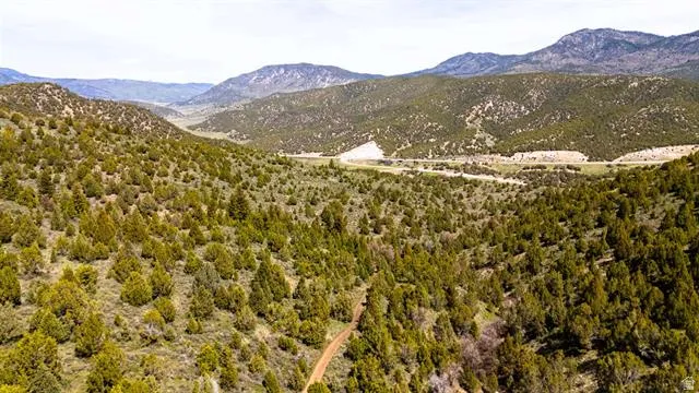 Expansive mountainous terrain featuring abundant evergreen trees, a winding dirt path, and distant mountain ranges under a clear sky