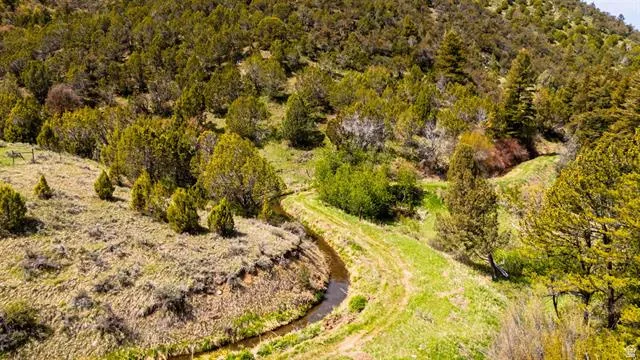 Expansive terrain featuring a natural stream, abundant trees, varied topography, and lush ground cover