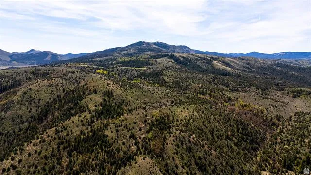 Expansive mountain landscape featuring varied elevations, dense evergreen trees, scattered deciduous foliage, and a broad horizon