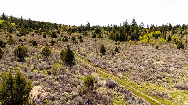 Elevated terrain featuring natural foliage and a visible dirt path
